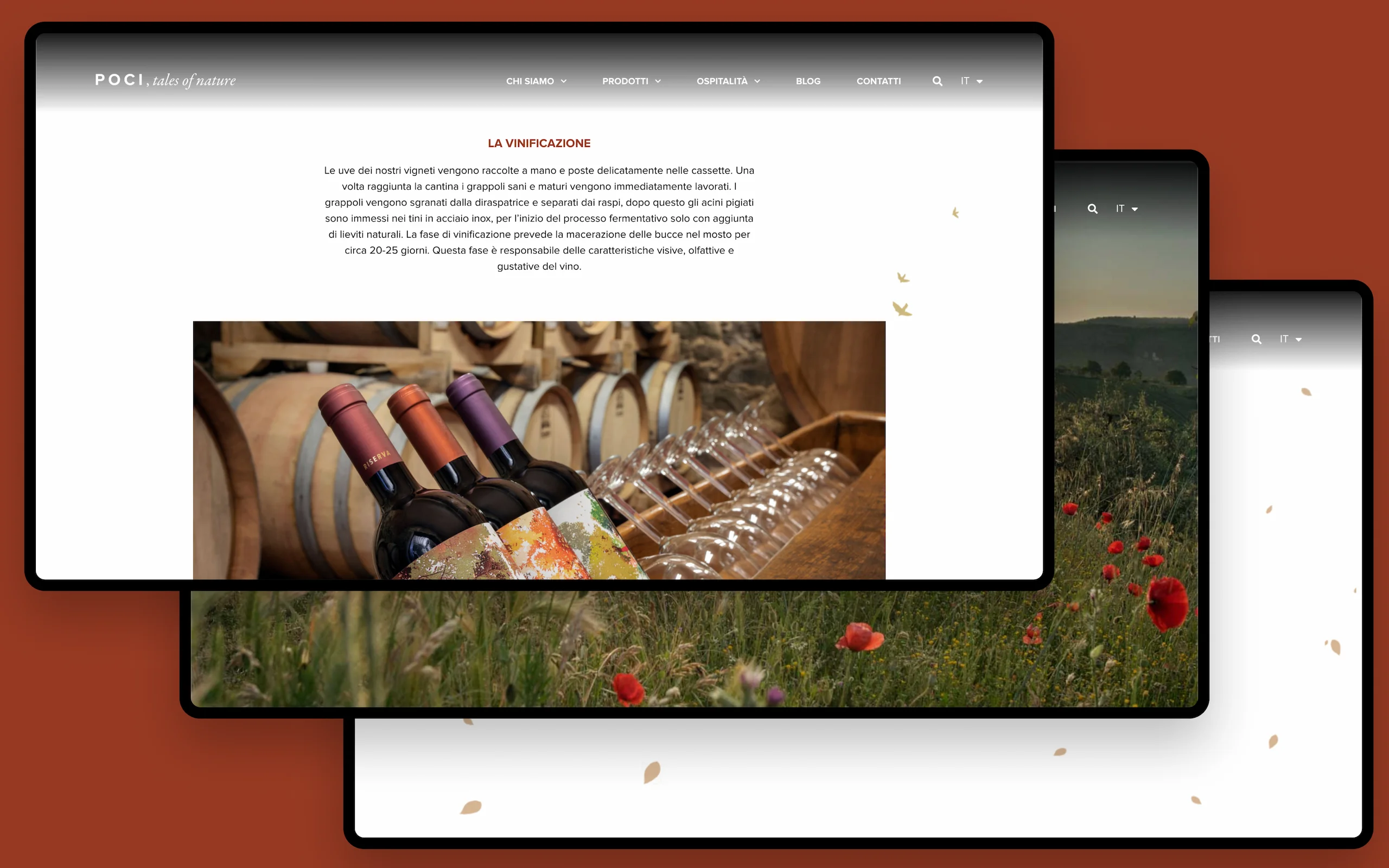 Sito web di Poci, tales of nature, azienda agricola del Chianti: la pagina sulla vinificazione, con le bottiglie tra le botti, accanto alle schermate sul campo di papaveri