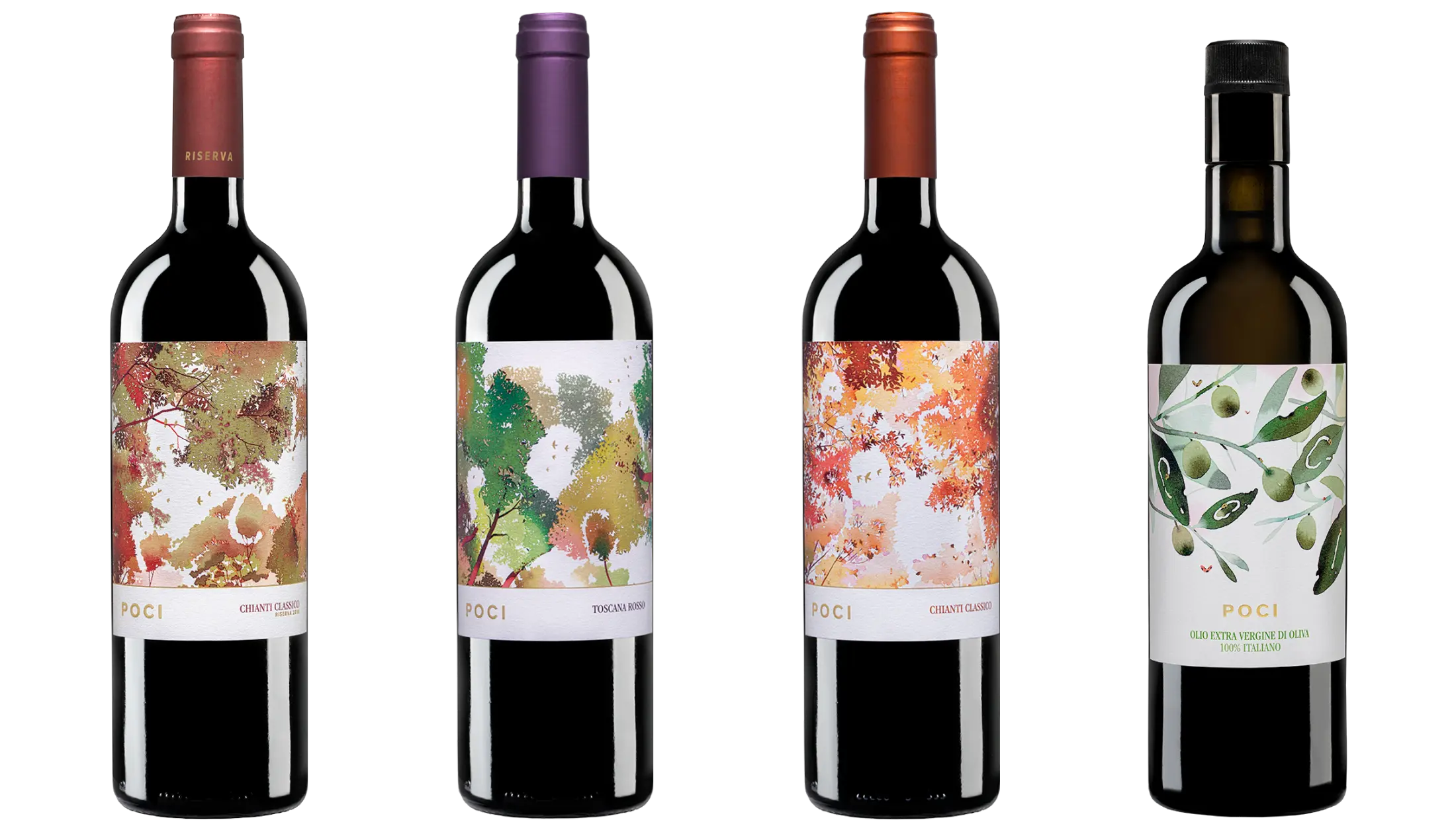 I prodotti di Poci con le etichette illustrate ad acquerello: Chianti Classico Riserva, Toscana Rosso, Chianti Classico e olio extravergine di oliva