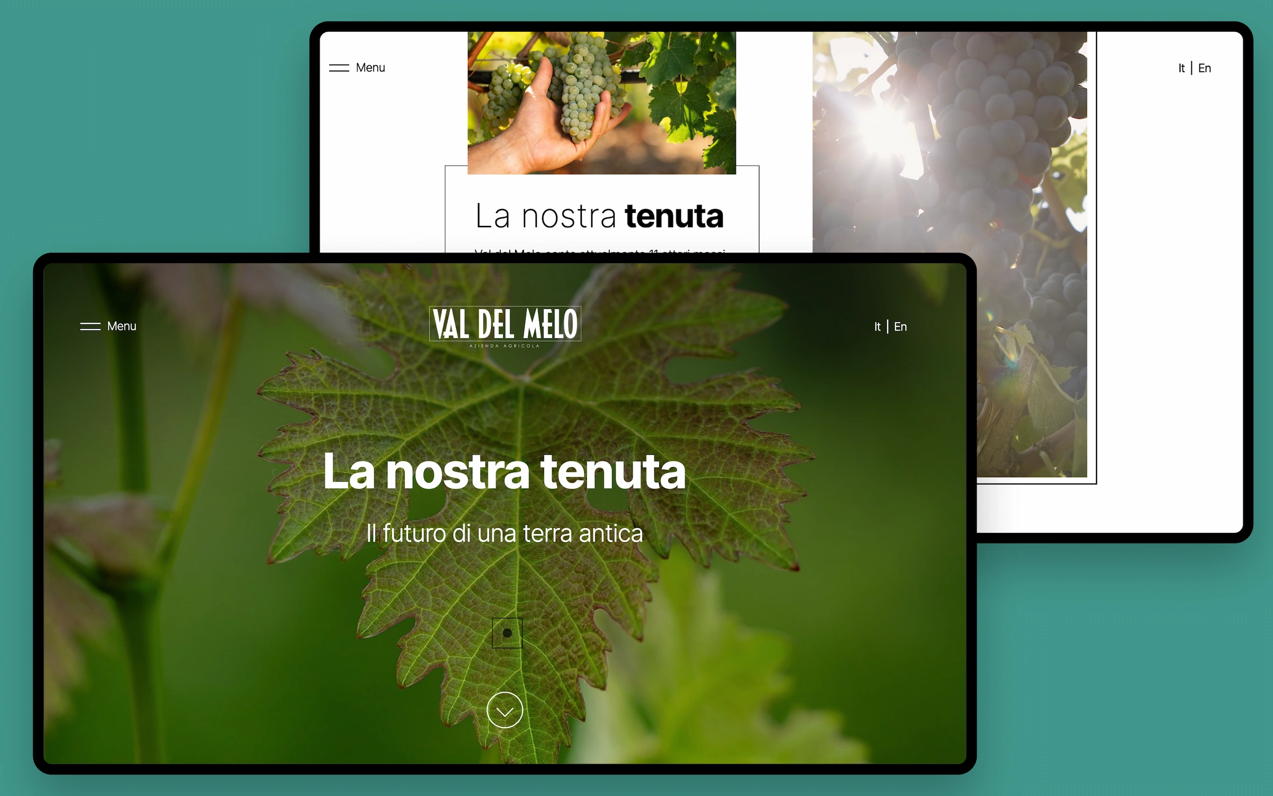 Sito web di Val del Melo, azienda agricola della Maremma: la pagina «La nostra tenuta — Il futuro di una terra antica» su una foglia di vite, accanto alle schermate sulla vendemmia